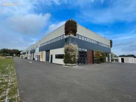 local d'activité 126 m²