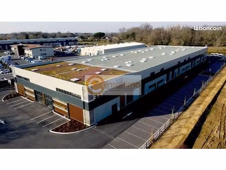 local d'activité 367 m²
