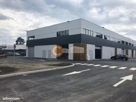 local d'activité 300 m²