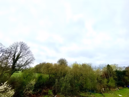 une belle surprise au sommet !