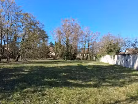 terrain