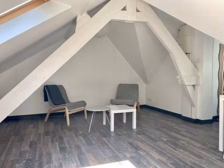 centre ville - grand studio meuble 30m2 au sol