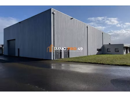 location locaux professionnels 700 m² à sèvremoine (49450)  4 000 €