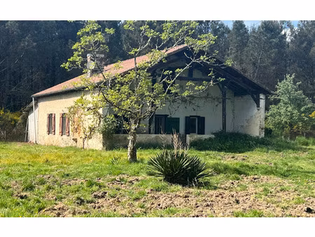 location maison  116.21 m² t-4 à pouydesseaux  790 €