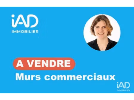 murs commerciaux à charny orée de puisaye (89120)