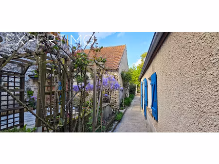 maison de caractère avec dépendances  cour et jardin
