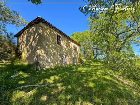 maison à vendre ordan larroque 4 pièce(s) 80m2 88 000€