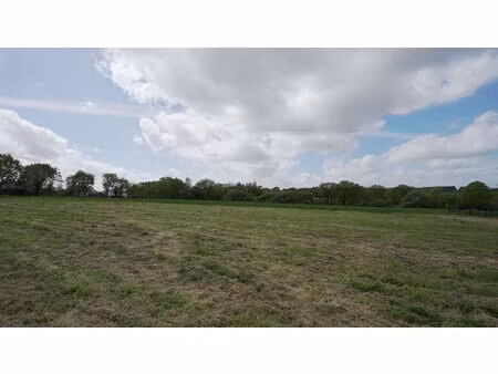 vente terrain  607.00m²  gourhel