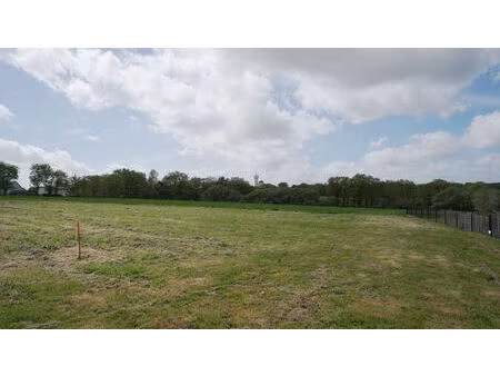 vente terrain  647.00m²  gourhel