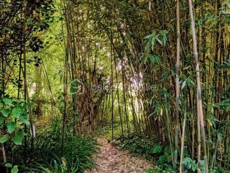 chalet 2 pièces 36 m²