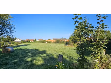 beau terrain borné  cadastré et non viabilisé à cusset