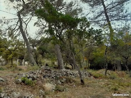 terrain 700 m² saint maximin la sainte baume