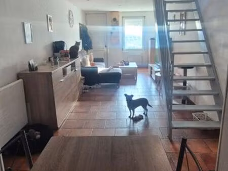 location maison 3 chambres