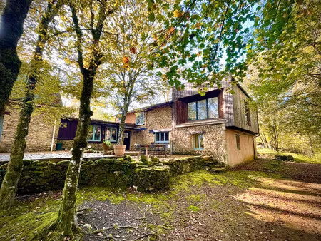 maison à vendre à saint-léon-sur-vézère (24290) - dordogne