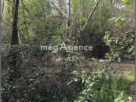 rare !! bois de 3 45 hectares à aillas