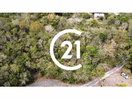 terrain boisé à vendre – les hauteurs des anses-d'arlet ?