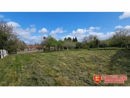 terrain constructible