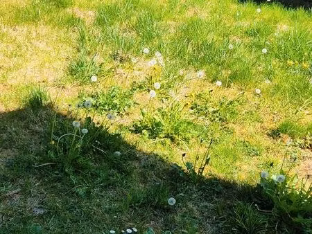 vends maison individuelle