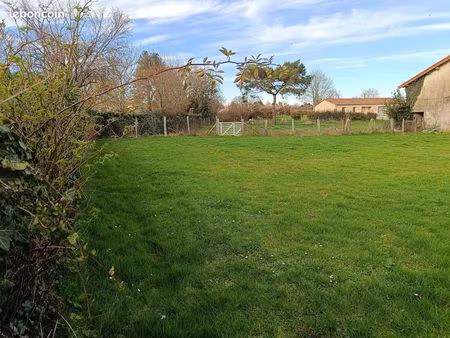 terrain constructible