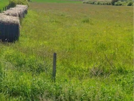 terrain agricole à louer avec point d'eau naturel