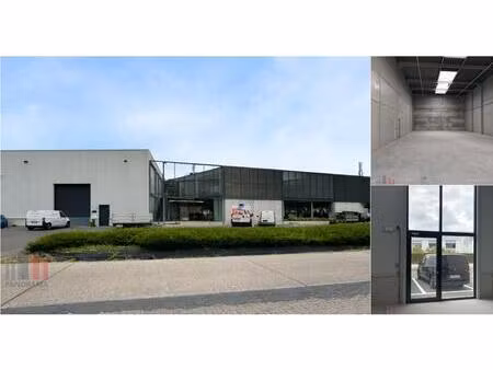 surface industrielle à louer à halfstraat 5 aartselaar (rbv71905)