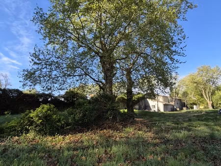 vente terrain 24 000 m²