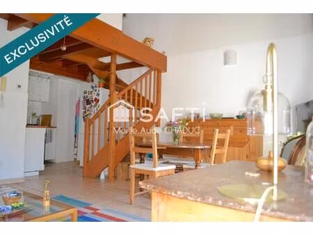 duplex mumineux 49 m2 vue dégagée dernier étage