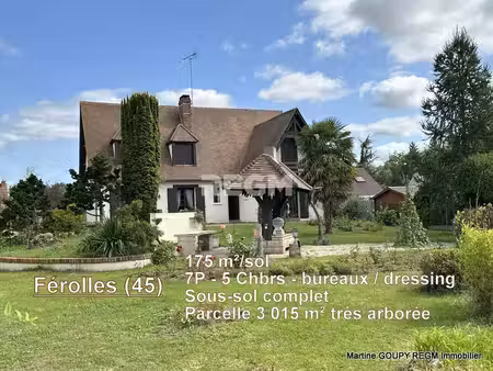 ferolles (45) maison de 175 m2/sol 7 p 5 chbr - sous-so