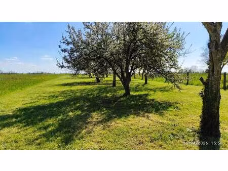 terrain constructible à vendre