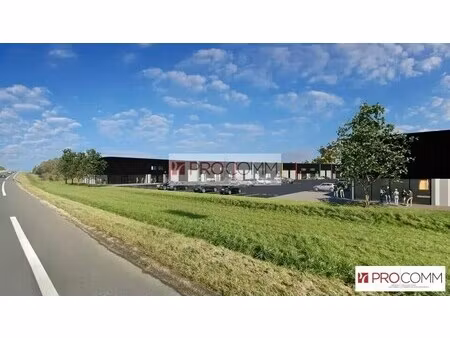 location local d'activités 491 m²