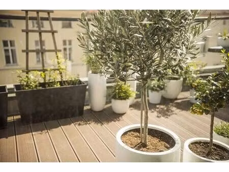 appartement de luxe de 91 m2 en vente montreuil  france