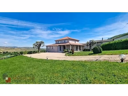 achat maison 8 pièces 190m² st lager 69220