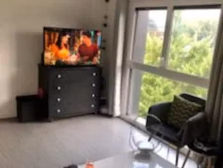 vente appartement 1 pièce 24 m² troyes (10000)