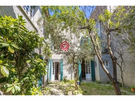 grande maison de village à rieux-minervois  6 chambres