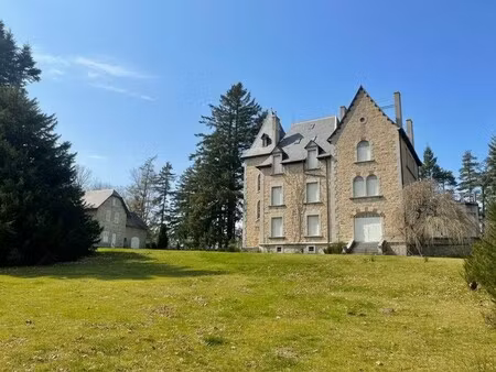 château à vendre à albaret-sainte-marie : 625 000 € | 550m²