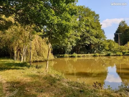 étang terrain de loisirs bois en sarthe