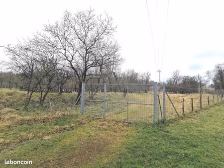 terrain 39830 m² saint-germain-des-fossés