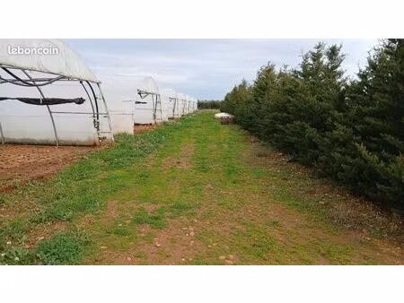 exploitation agricole maraîchère arles