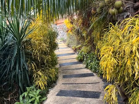 maison et dépendance aménageable pour location grands-bois st-pierre