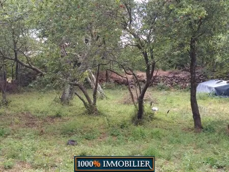 très beau terrain de loisir ( type agricole )