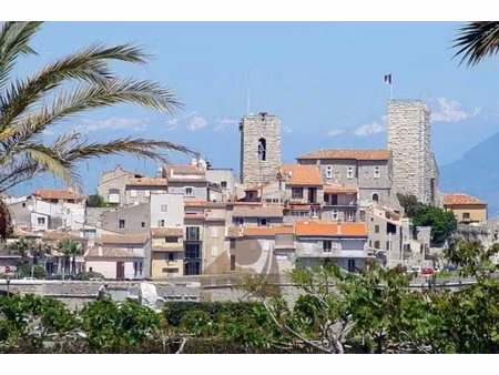 annonce commerce à vendre