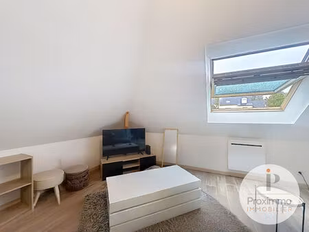 location appartement 1 pièce 30m²