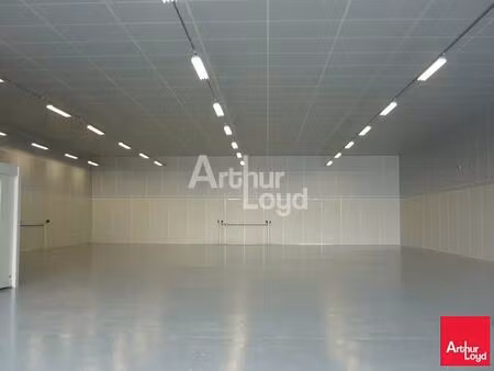 location local d'activités 700 m²