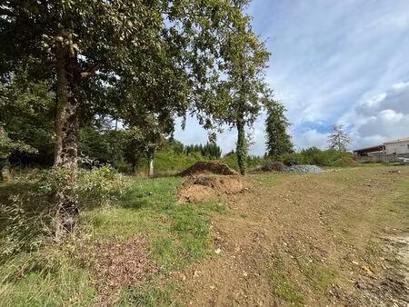 achat : terrain (24750)