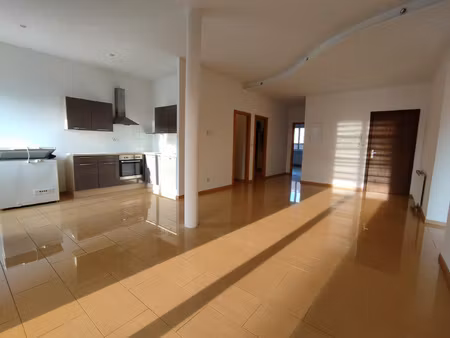 location appartement 3 pièces 77m² st louis 68300