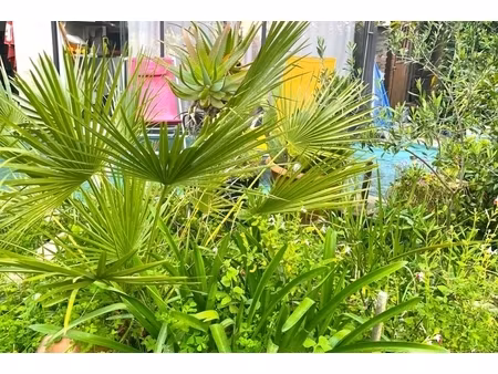 annonce appartement à vendre