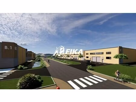 vente local d’activités muret 31600 172m²
