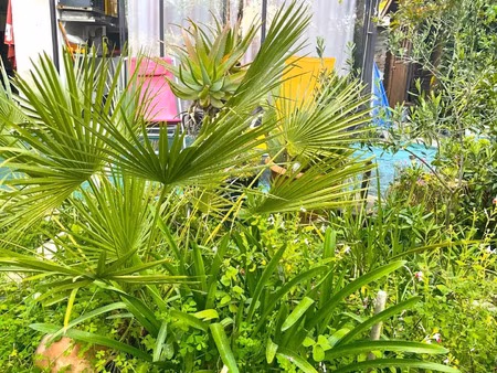 vente appartement 1 pièce 21 m² la londe-les-maures (83250)