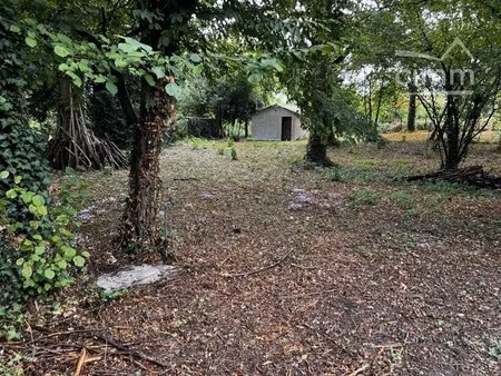 terrain constructible