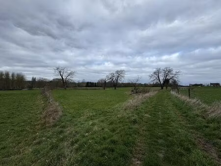terrain agricole à vendre à pereboomstraat sint-pieters-leeuw (rbv71639)